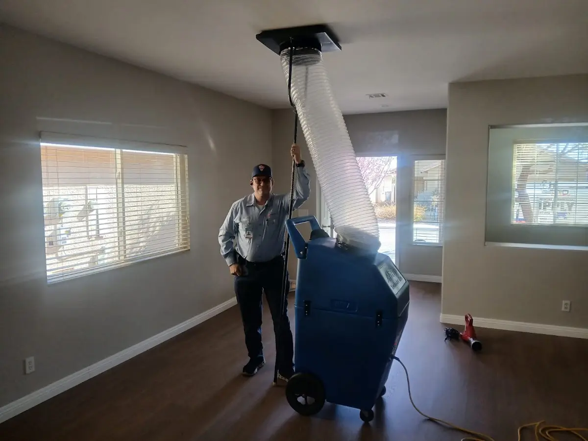 Professional Dryer Vent Cleaning work inside a Lexington Park home